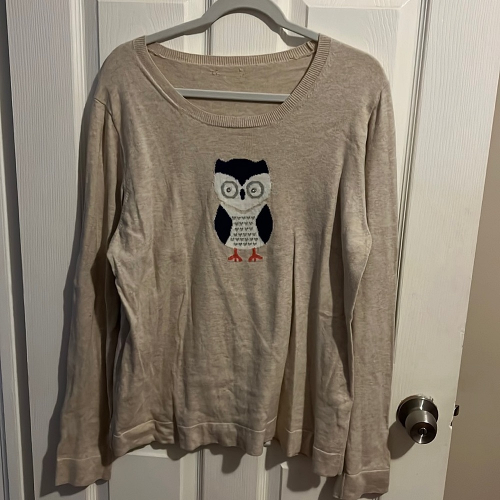 JCrew Factory owl sweater size XL